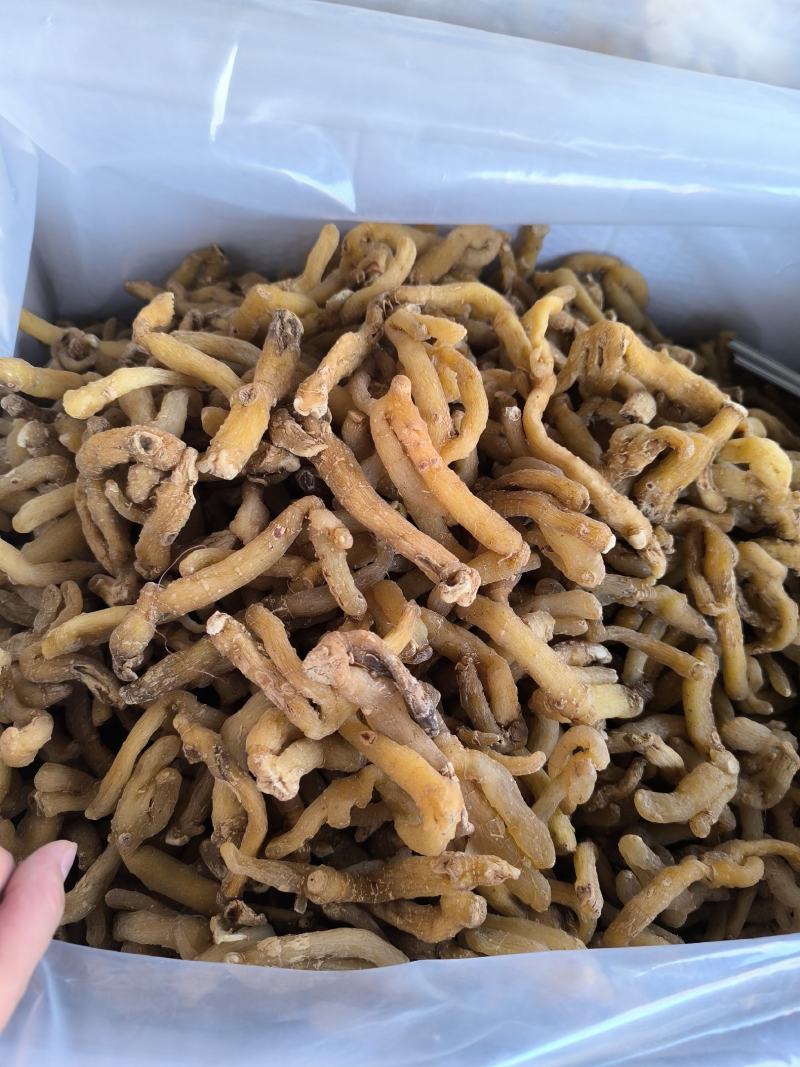 湘玉竹玉竹条玉竹个子干货无硫规格齐全量大从优