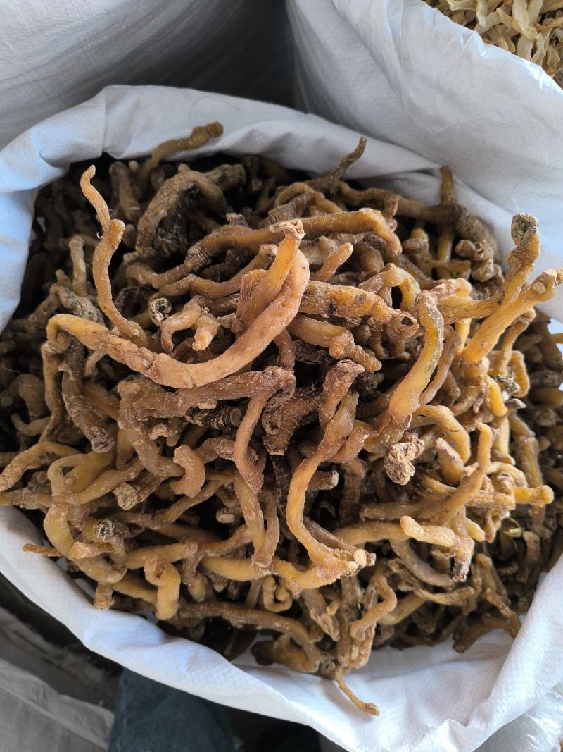 湘玉竹玉竹条玉竹个子干货无硫规格齐全量大从优