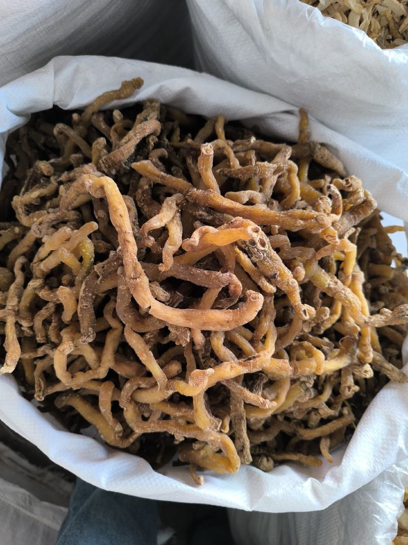 湘玉竹玉竹条玉竹个子干货无硫规格齐全量大从优