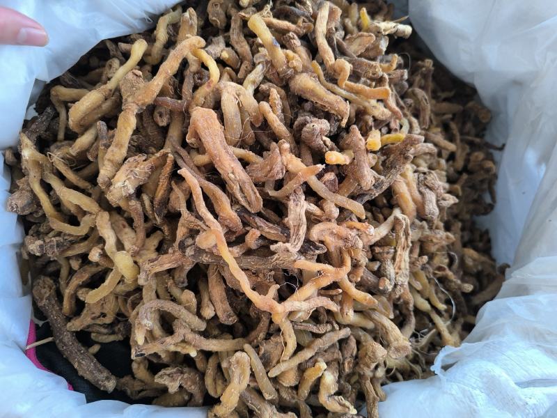 湘玉竹玉竹条玉竹个子干货无硫规格齐全量大从优