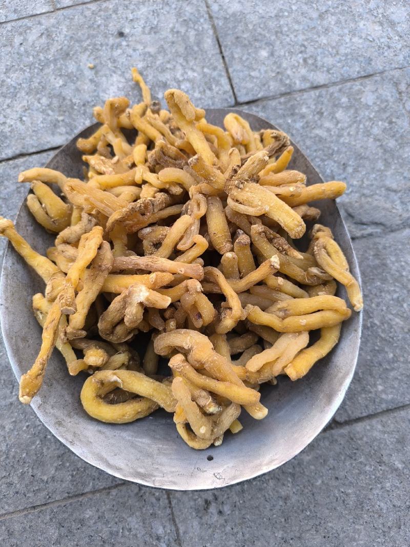 湘玉竹玉竹条玉竹个子干货无硫规格齐全量大从优