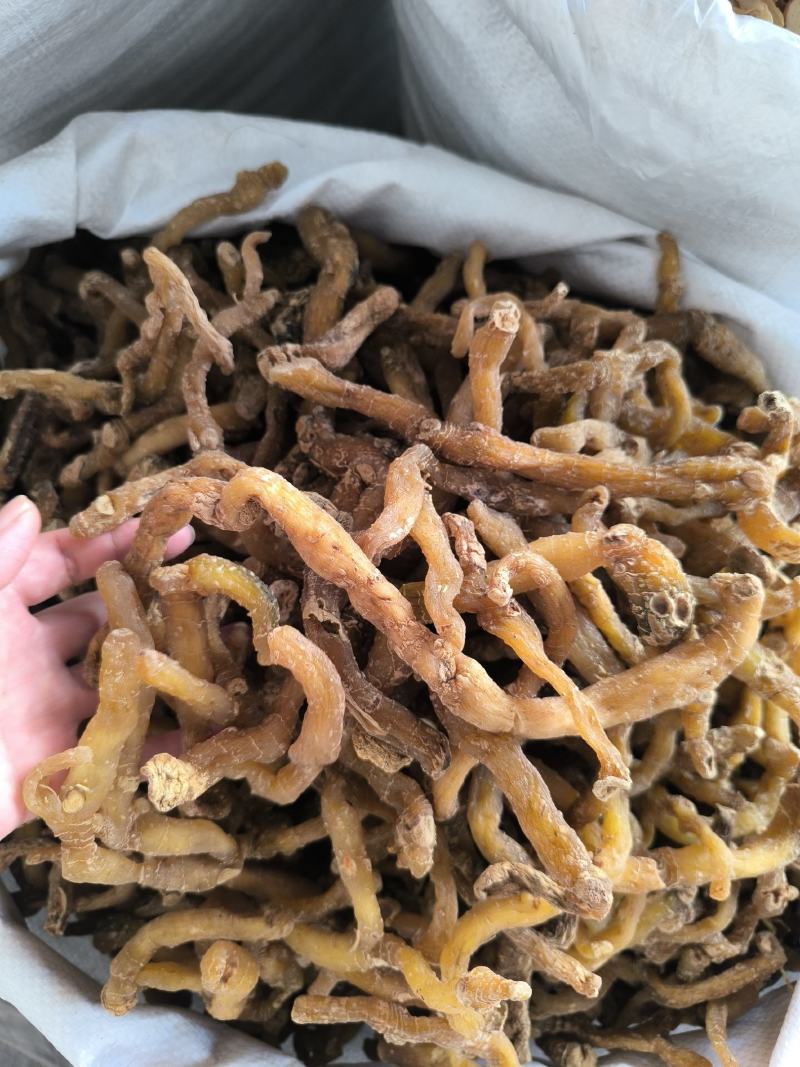 湘玉竹玉竹条玉竹个子干货无硫规格齐全量大从优