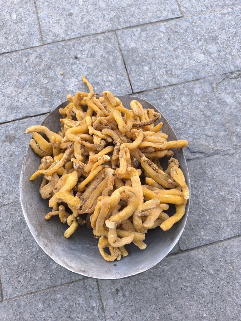 湘玉竹玉竹条玉竹个子干货无硫规格齐全量大从优