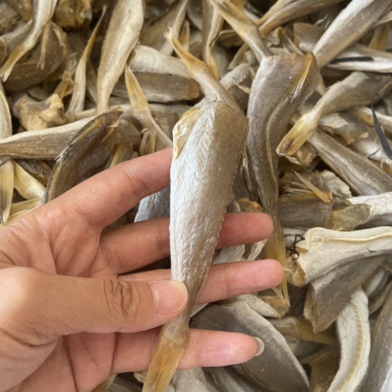 肉角鱼干地摊展会批发淡干肉角红娘鱼鲈鱼沙丁鱼批发