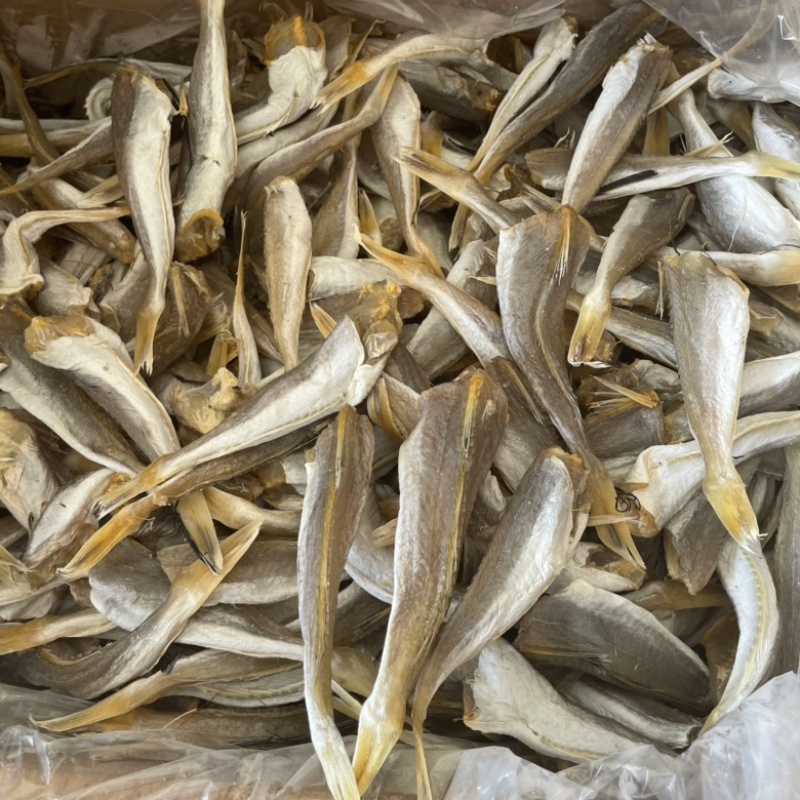 肉角鱼干地摊展会批发淡干肉角红娘鱼鲈鱼沙丁鱼批发