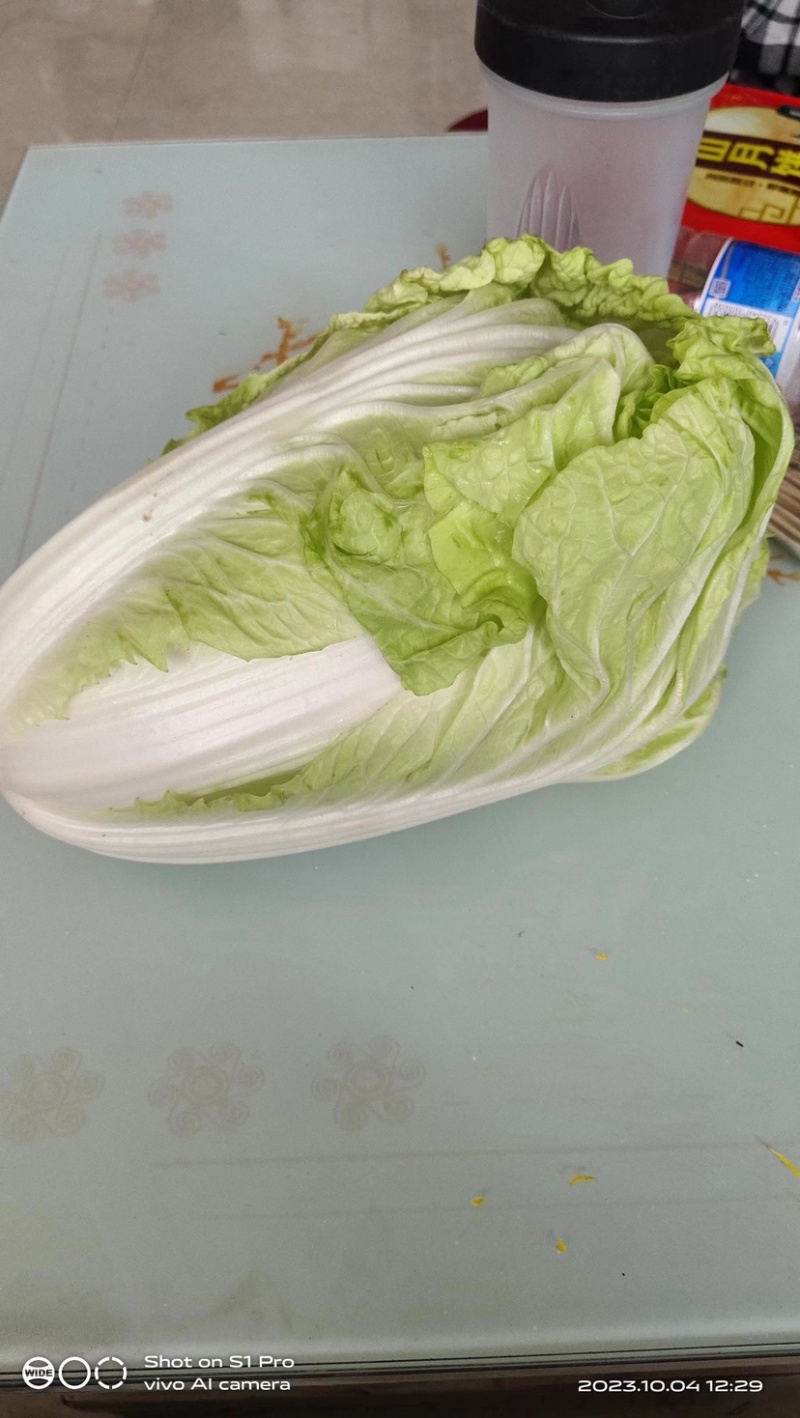 【甄选】江苏精品白菜黄心白菜产地直发可视频看货