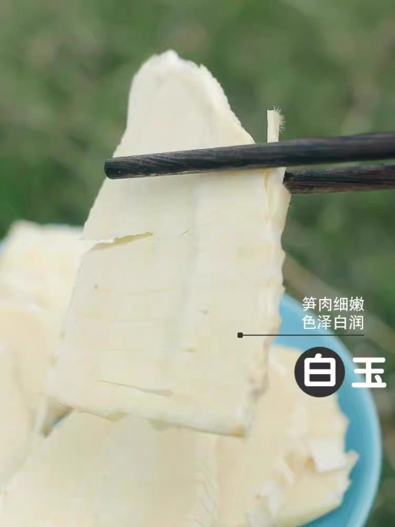 冬笋，新鲜现挖冬笋农家竹笋尺寸电商一件代产地源头春笋
