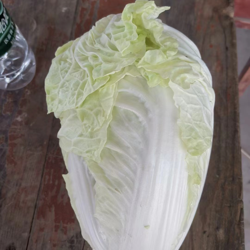 【甄选】江苏精品白菜黄心白菜产地直发可视频看货