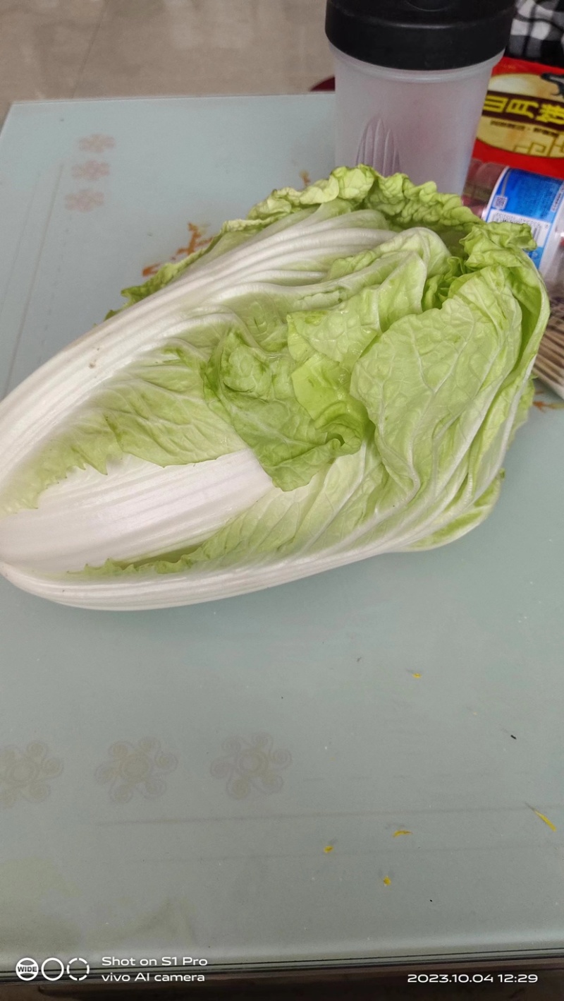 【牛商】精品黄心白菜产地直发一手货源价优保质欢迎