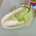 【牛商】精品黄心白菜产地直发一手货源价优保质欢迎