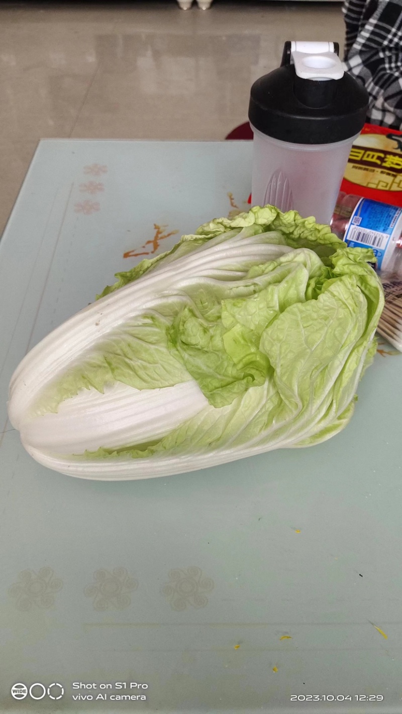 【牛商】精品黄心白菜产地直发一手货源价优保质欢迎