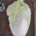 【甄选】江苏精品白菜黄心白菜产地直发可视频看货