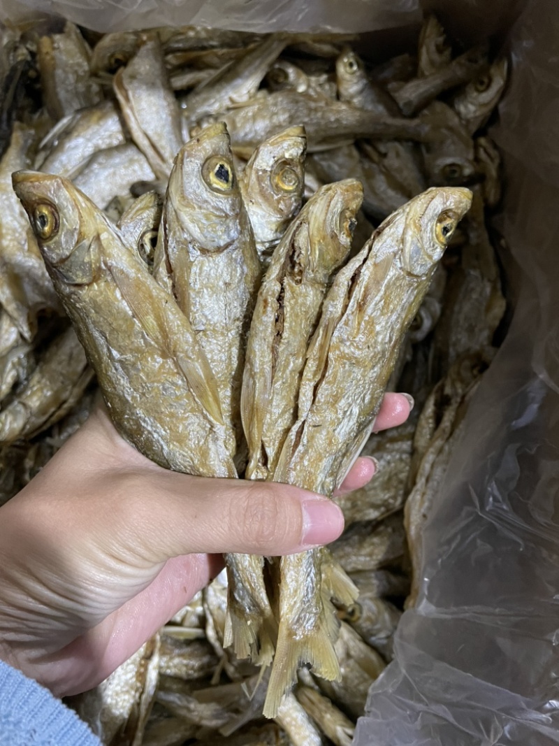 油炸鱼干地摊展会批发油炸翘嘴鱼干开肚白条白肖
