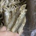 油炸鱼干地摊展会批发油炸翘嘴鱼干开肚白条白肖