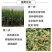 青储袋青储饲料发酵袋秸秆草料专用塑料袋子豆渣酒糟密封袋