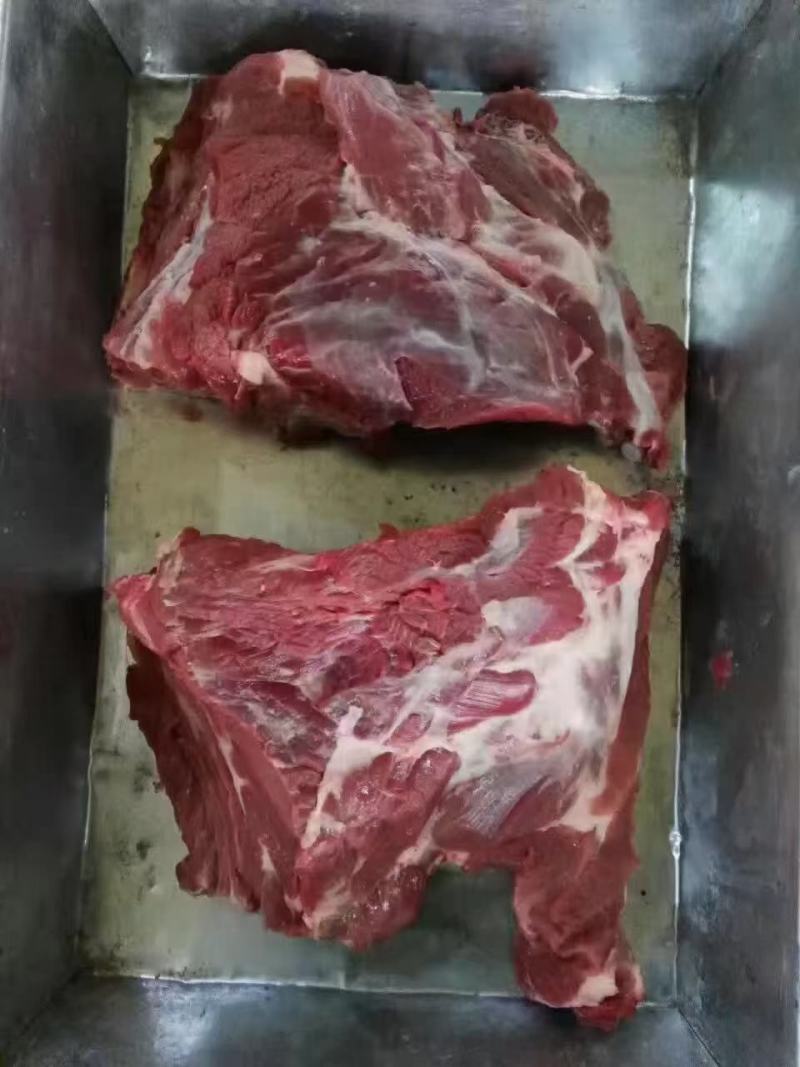 无颈前排
