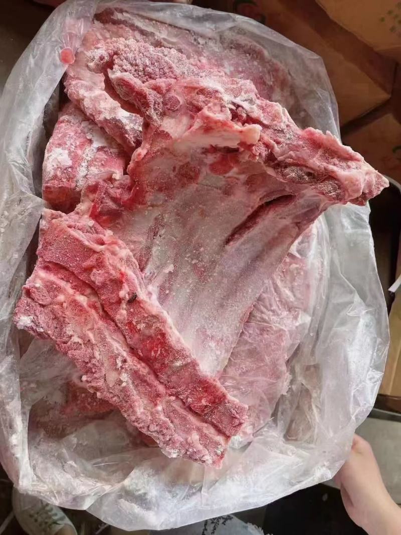 无颈前排
