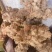 【精品】云南土茯苓纯无硫无添加人工加工自然晾干保质保量