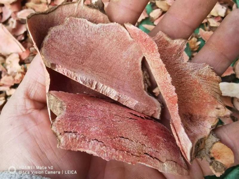 【精品】云南土茯苓纯无硫无添加人工加工自然晾干保质保量