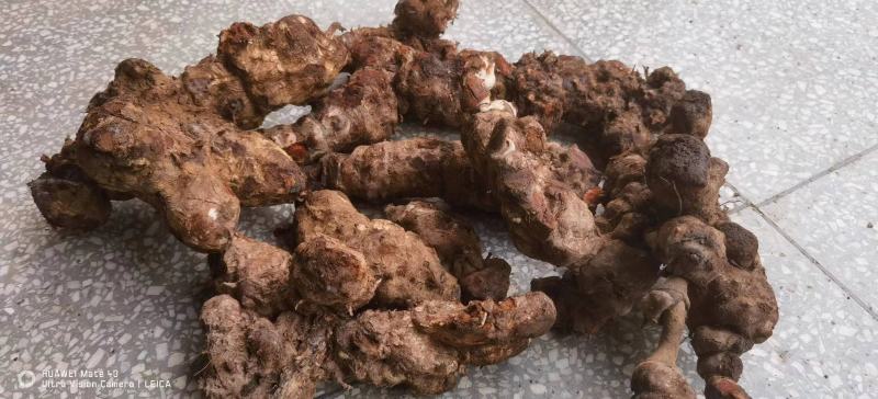 【精品】云南土茯苓纯无硫无添加人工加工自然晾干保质保量