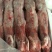 自营农场优质保鲜兔肉、冷冻兔肉，质优价廉
