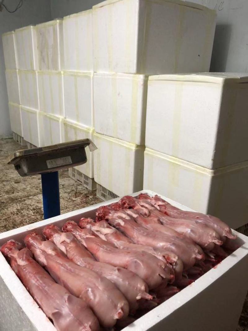 自营农场优质保鲜兔肉、冷冻兔肉，质优价廉