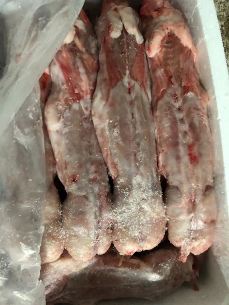 自营农场优质保鲜兔肉、冷冻兔肉，质优价廉