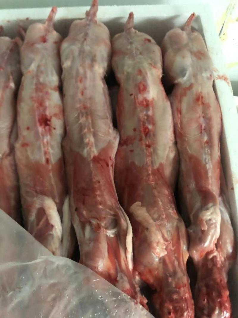 自家农场常年供应保鲜、冷冻兔肉