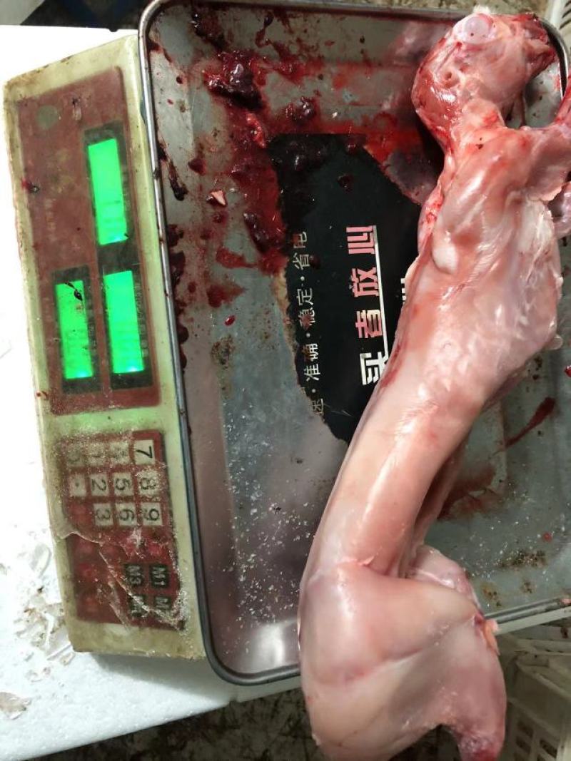 自营农场出产保鲜兔肉、冷冻兔肉，质优价廉