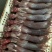 自营农场出产保鲜兔肉、冷冻兔肉，质优价廉