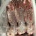 自营农场出产保鲜兔肉、冷冻兔肉，质优价廉