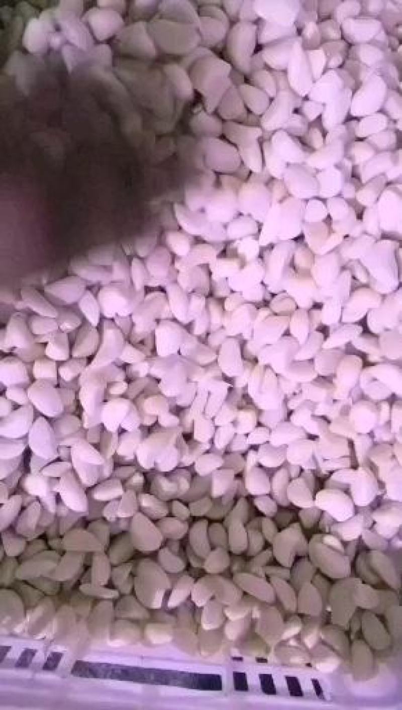 优选蒜米、蒜米，批发，厂家发货，量大价优，欢迎咨询下单