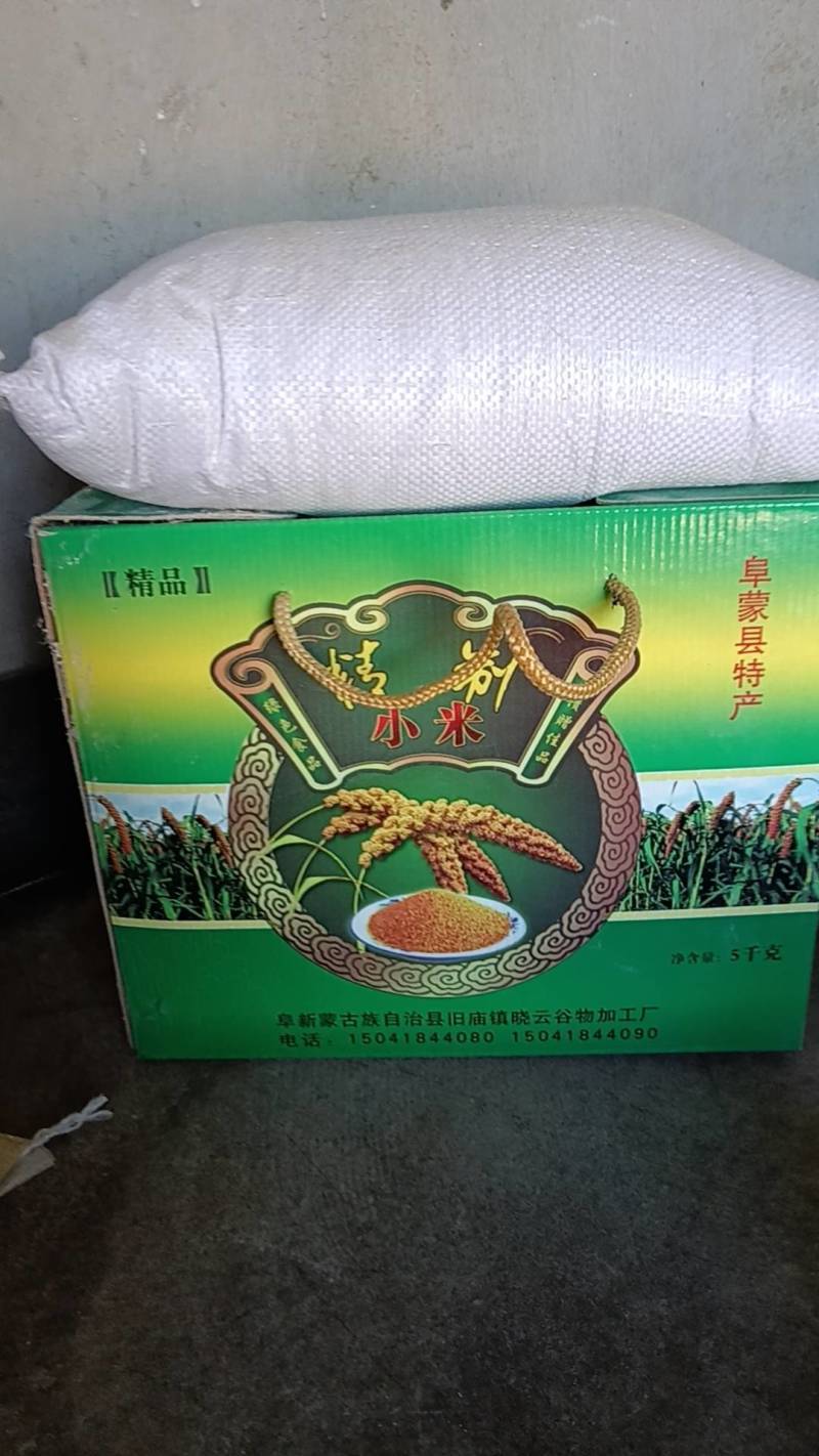 精制小米