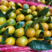 城固县蜜橘大量上市高山蜜橘产地直发一手货源品质保障