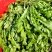 【热卖】河南鲜荠菜，棒棒菜大量上市常年供应欢迎咨询