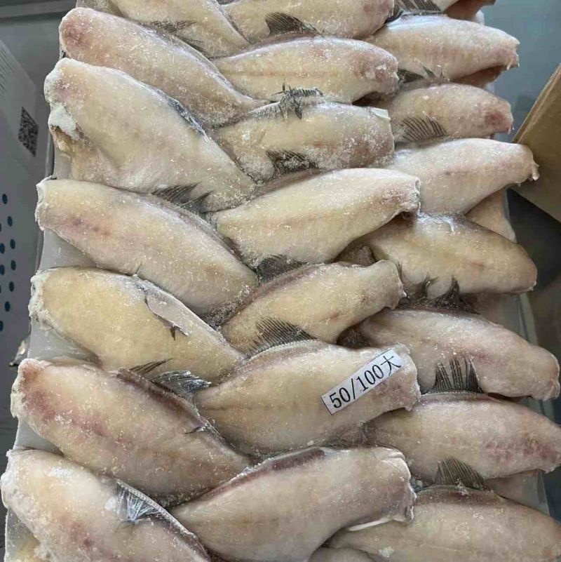 马面鱼，扒皮鱼。全国接单，一手货源。