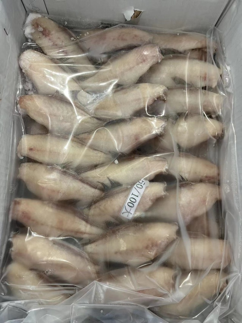马面鱼，扒皮鱼。全国接单，一手货源。