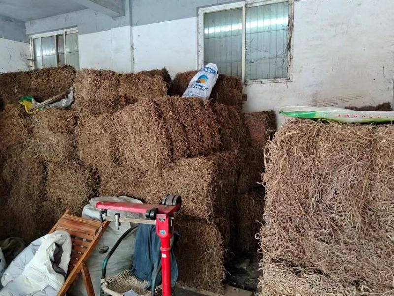 七叶绞股蓝根药厂提取物,量大了提前预定