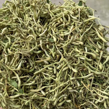 金银花
