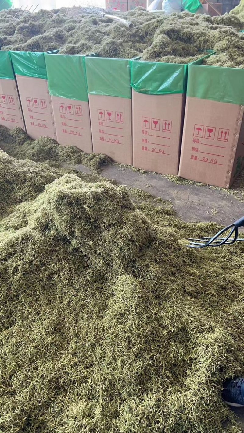金银花