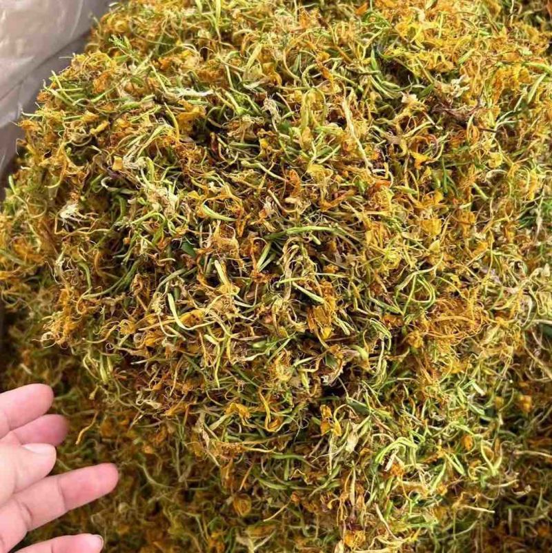 山银花