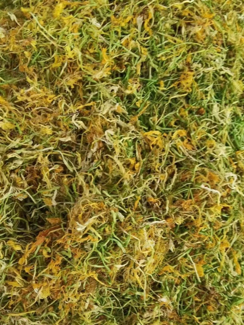 山银花