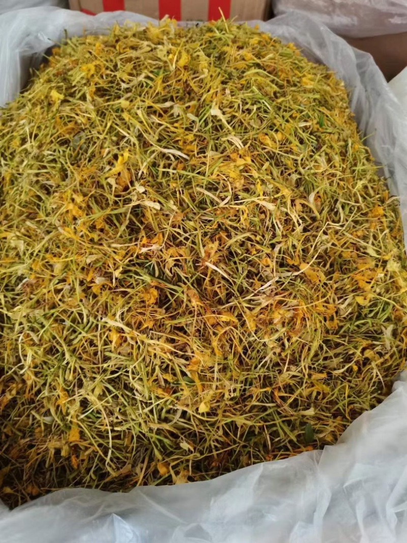 山银花