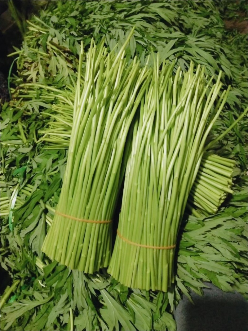 精品芦蒿