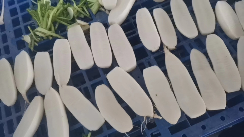 【荐】沙洋白萝卜精品小白萝卜鲜嫩精致好吃精品通货均有