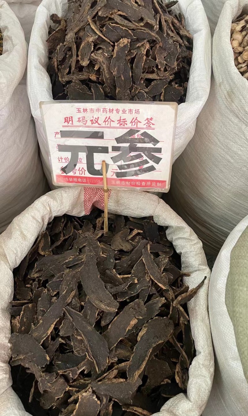 玄参