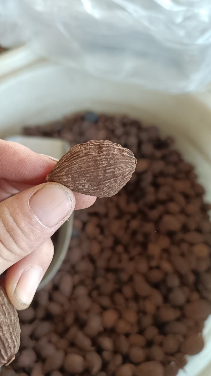 草果，云南新货草果，烘干，无硫，货源充足，全国发货