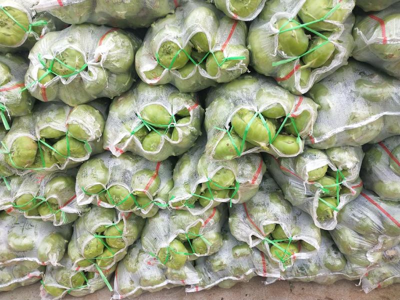 皮蓝疙瘩供应酱菜厂保质保量产品合格欢迎联系