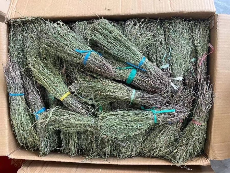 青绿独脚金，产地直销