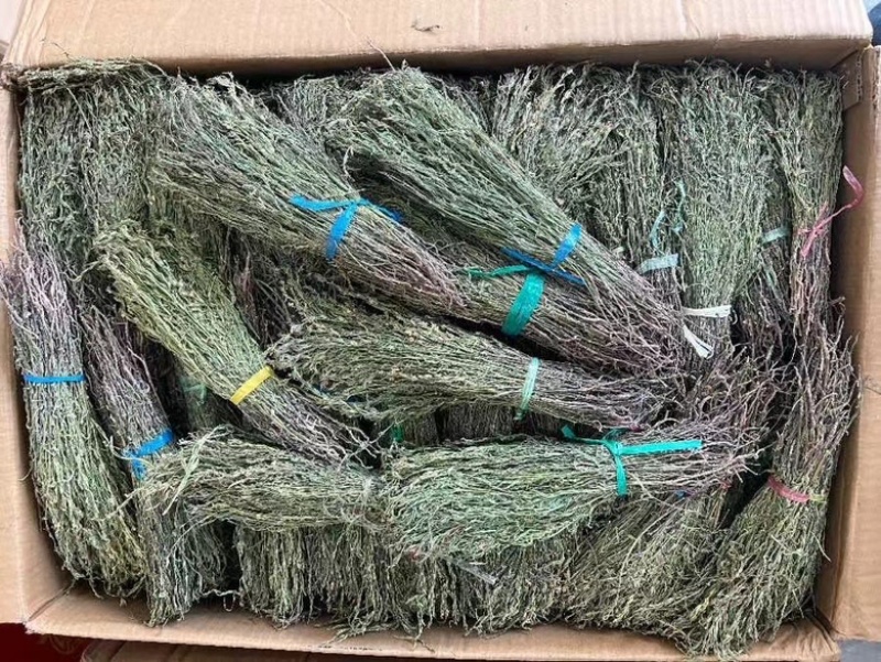 青绿独脚金，产地直销
